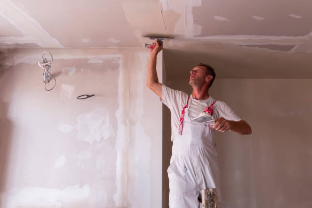 Best Drywall Texturing  in Eming Island, FL